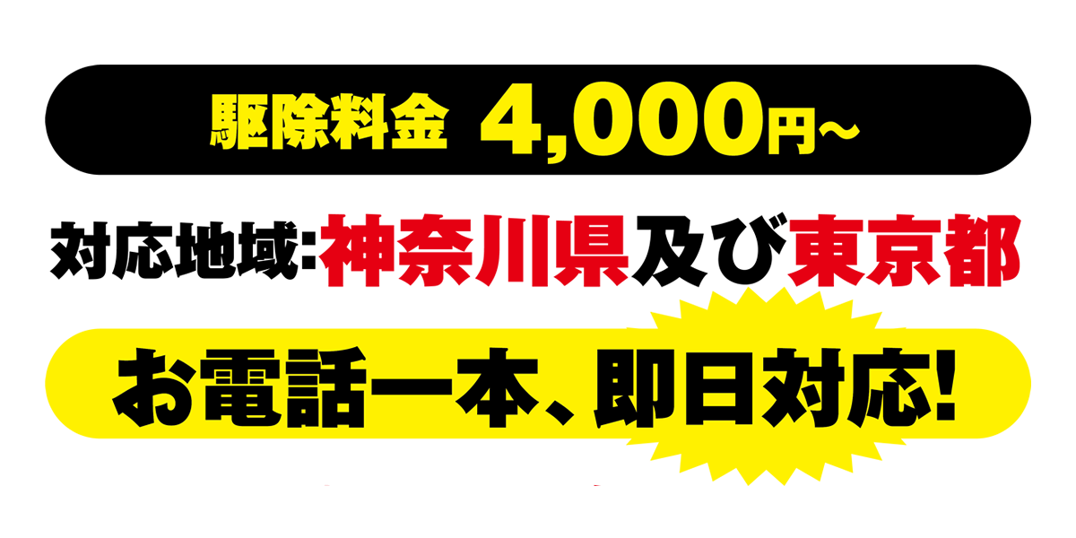 駆除料金 4,000円～対応地域：神奈川県及び東京都お電話一本、即日対応！